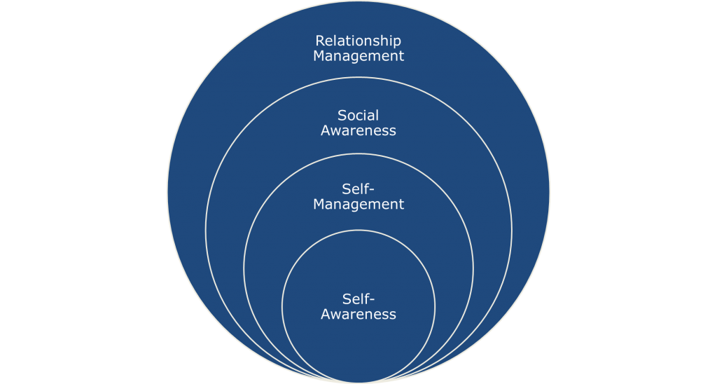 self awareness self leadership