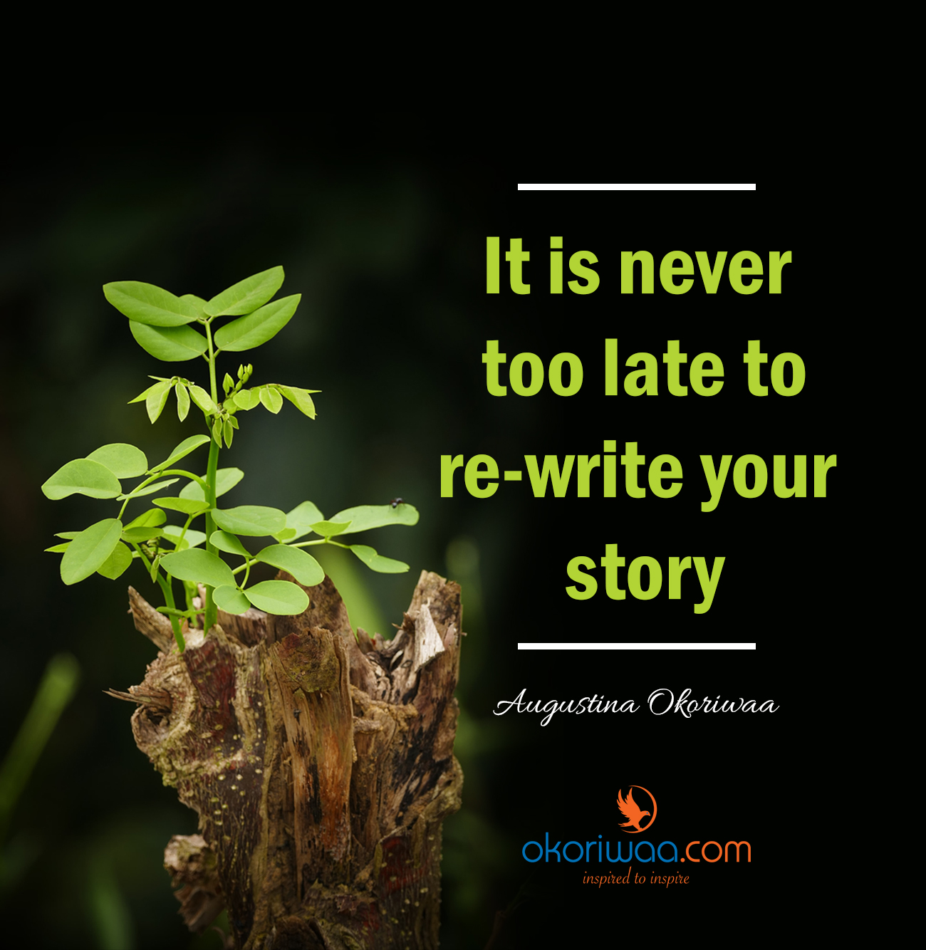 Read more about the article Re-Write Your Story